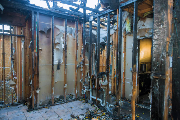 Professional Soot Cleanup technician working in Iowa Colony, TX